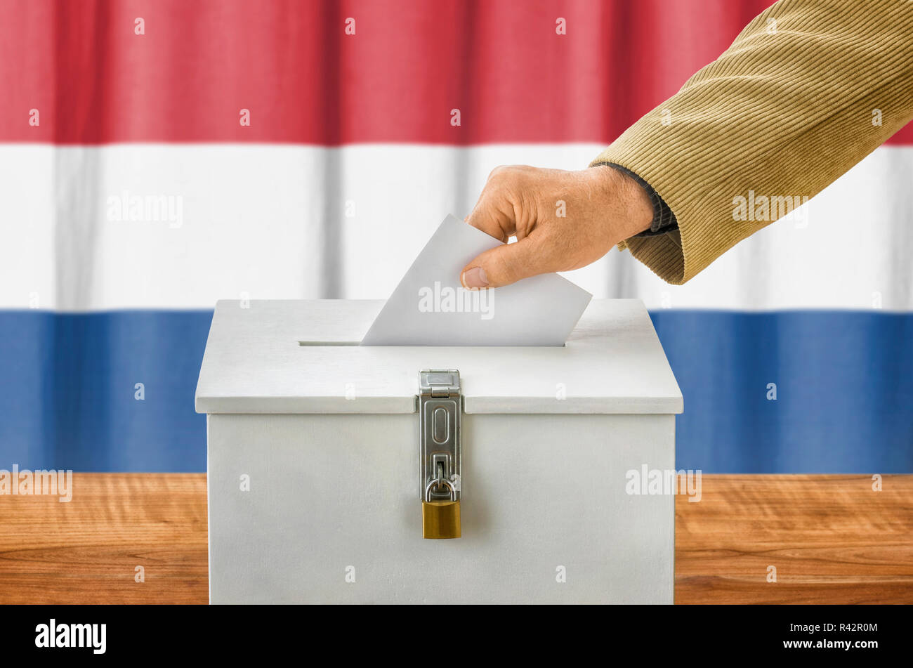 Mann, Stimmzettel, Wahlurnen - Niederlande Stockfoto