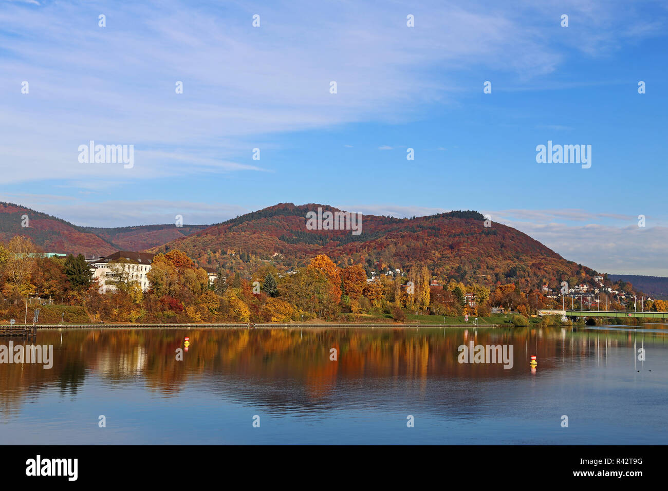 Blick über den Neckar in Heidelberg Heiligenberg Stockfoto