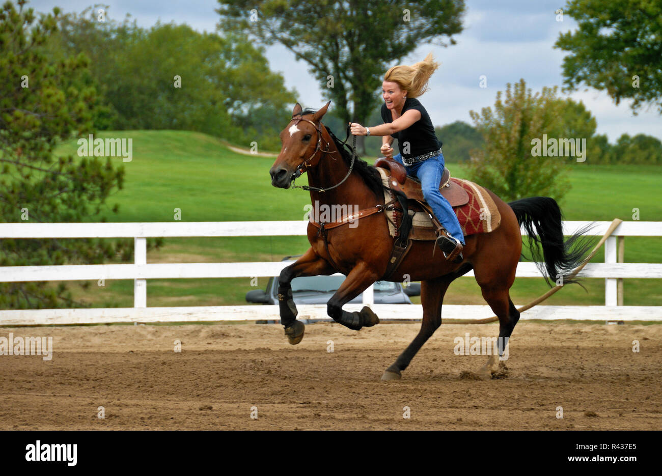 Eine Frau führt Sie Quarter Horse während der NH-HA (Nordallegheny Reiter's Association) Penn-Ohio sanktionierten Wettbewerb zeigen, am 27. September. 2008 Um Stockfoto