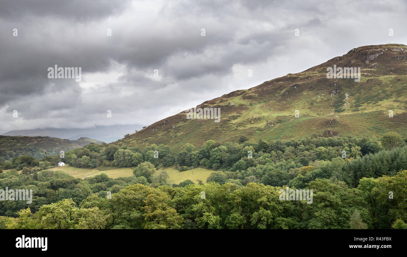 Wunderschöne Landschaft Bild der Blick vom Abgrund weg in Snowdonia mit Blick auf Hirtshals und Coed-y-Brenin Wald während der regnerischen Nachmittag im September Stockfoto