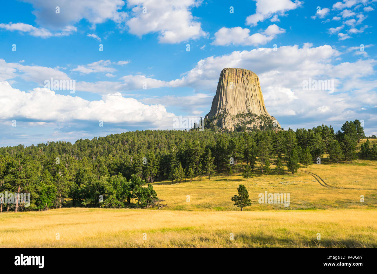 Devils Tower National Monument an einem sonnigen Tag, Wyoming, USA. Stockfoto