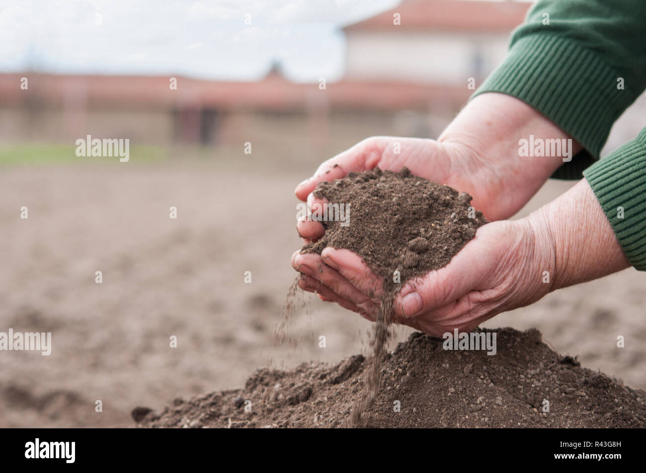 Die alte Frau alle Hände voll mit fruchtbaren Boden Stockfoto