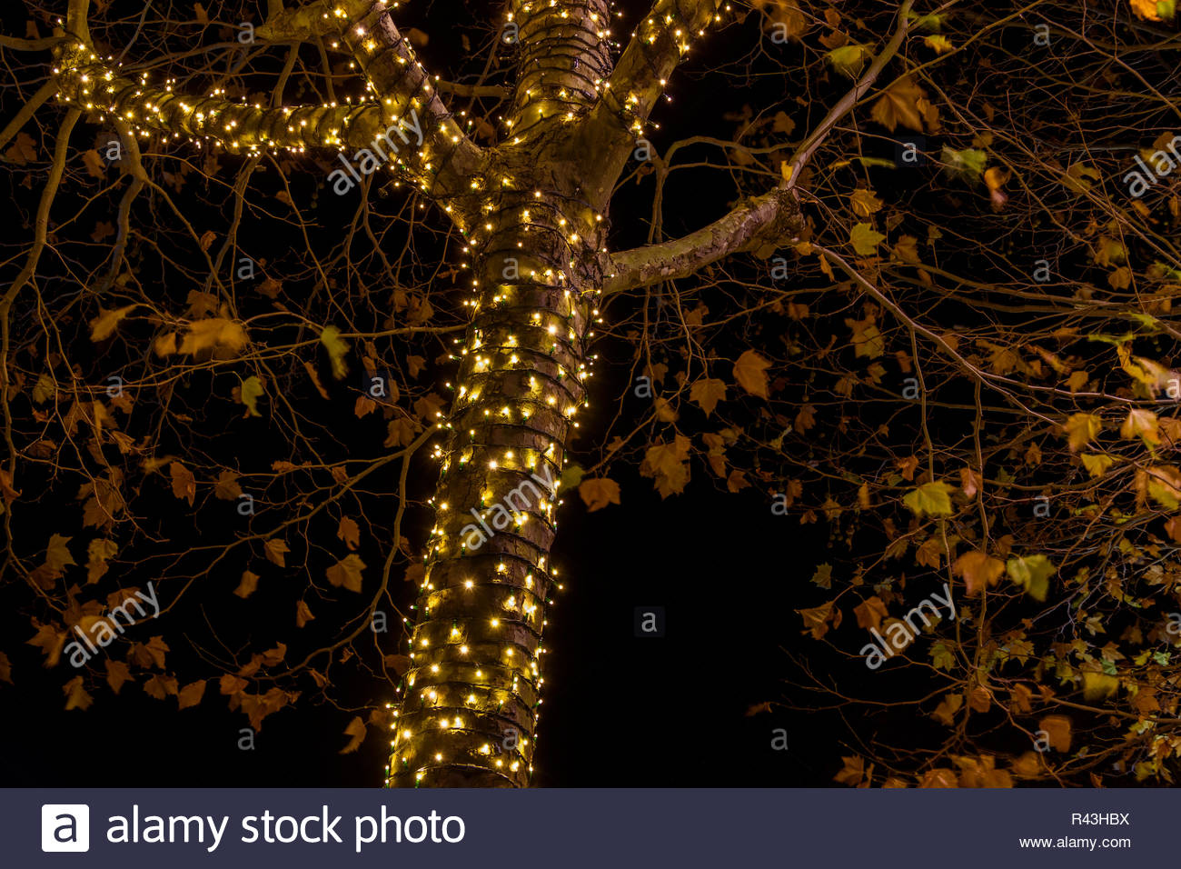 Ungewohnliche Weihnachtsbeleuchtung Stockfotos Und Bilder Kaufen Alamy
