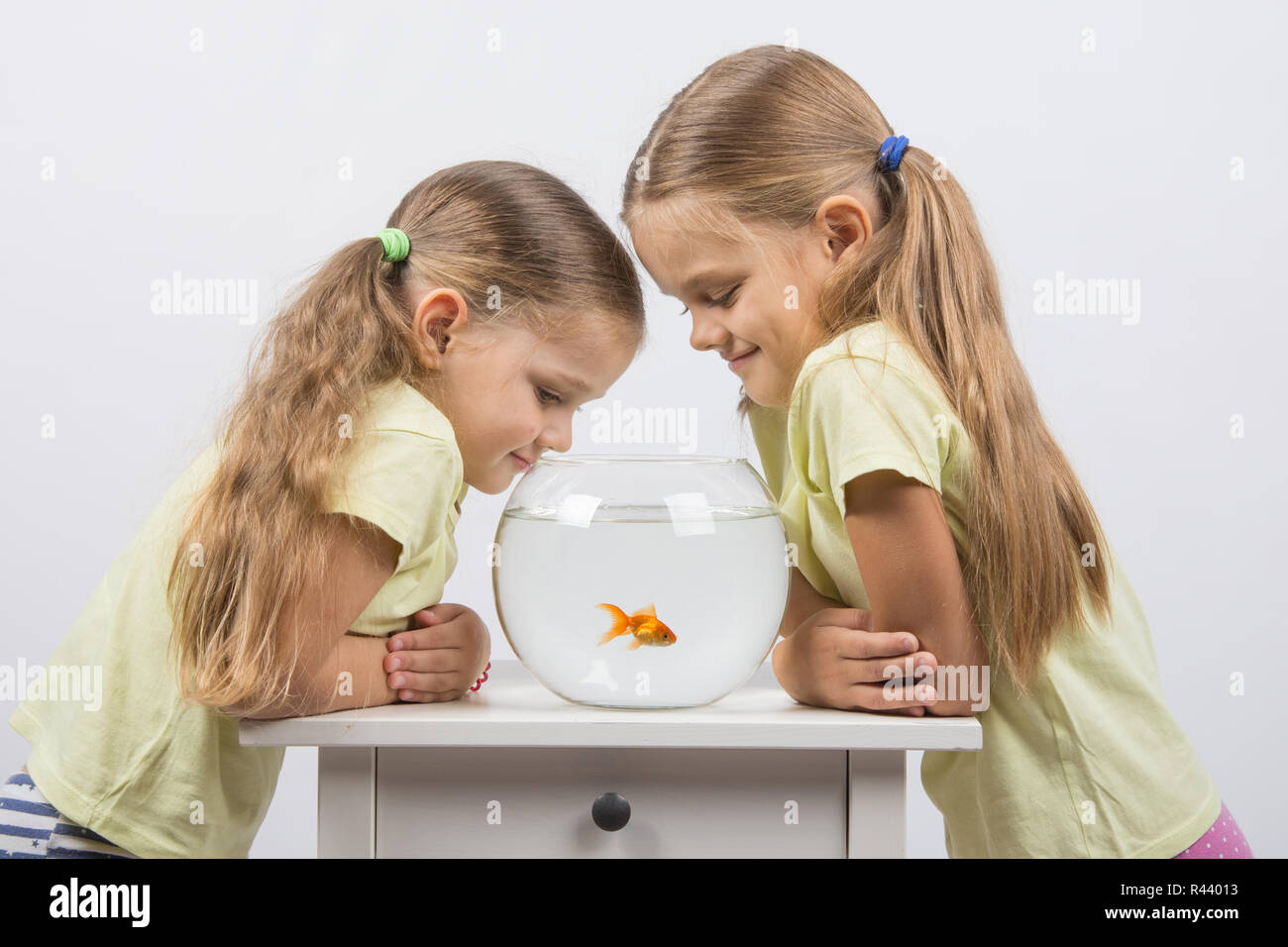 Zwei kleine Schwester gab ein Aquarium mit Goldfischen Stockfoto