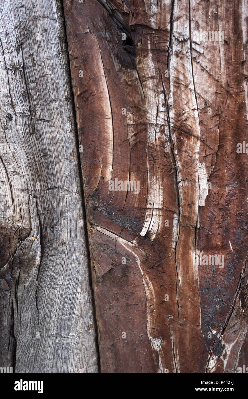 Nahaufnahme von einem grau-braunen Textur von altem Holz im Hochformat Stockfoto