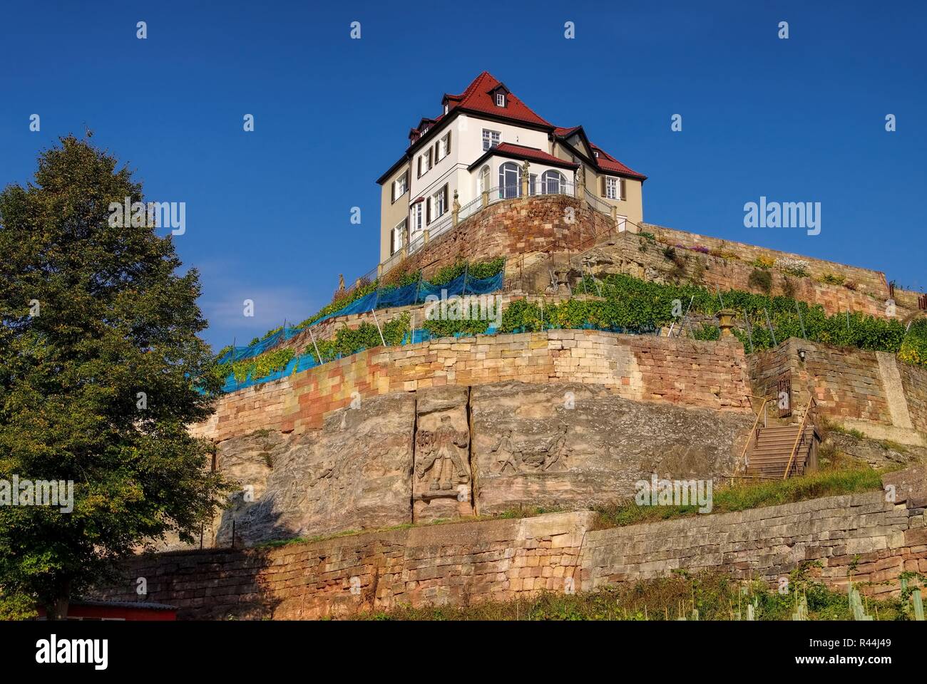 Naumburg saale weinberge Fotos und Bildmaterial in hoher Auflösung