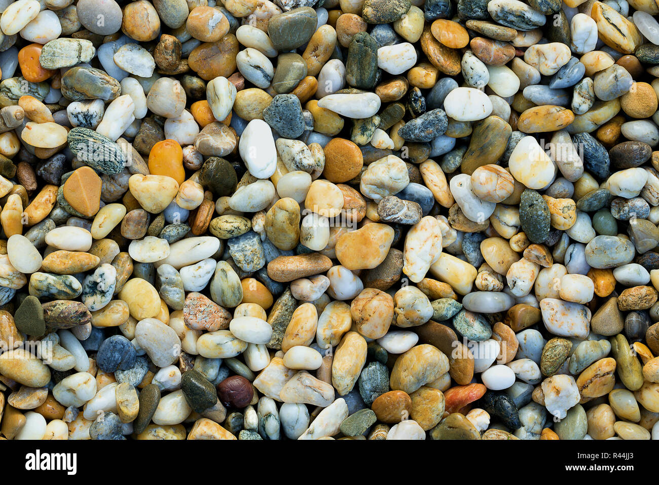 Kies Textur. Kleine Steine, kleine Steine, Kieselsteine in vielen Schattierungen von Grau, Weiß, Braun, Blau, Farbe gelb. Hintergrund Der kleine nasse Steine in Oval Stockfoto