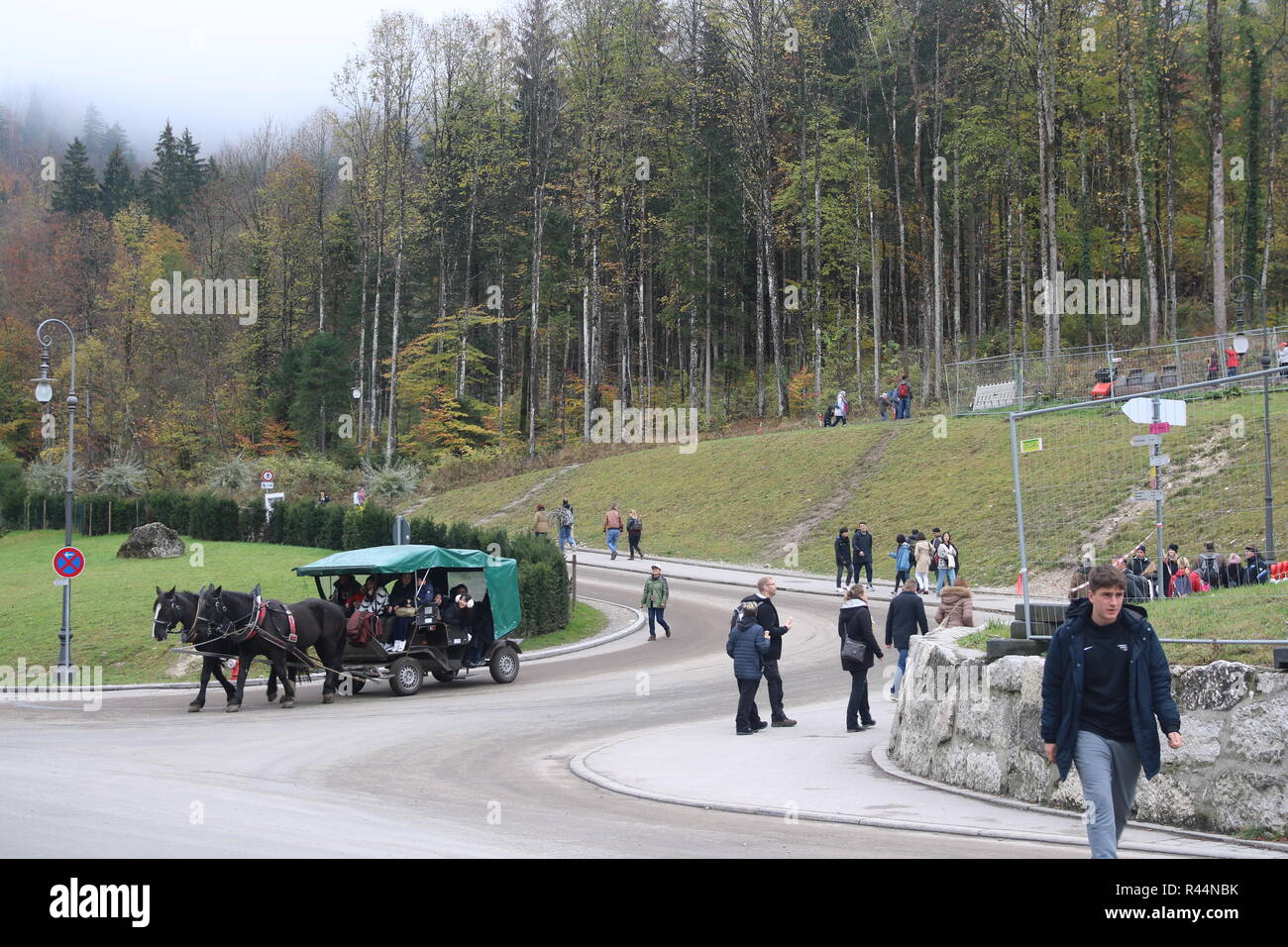 Schloss Neuschwanstein Kutsche reisen, München Bayern Deutschland Bayerische Konzept, Dinge zu tun, Touren, Pferde, Kutsche, Touristen zu erkunden Stockfoto