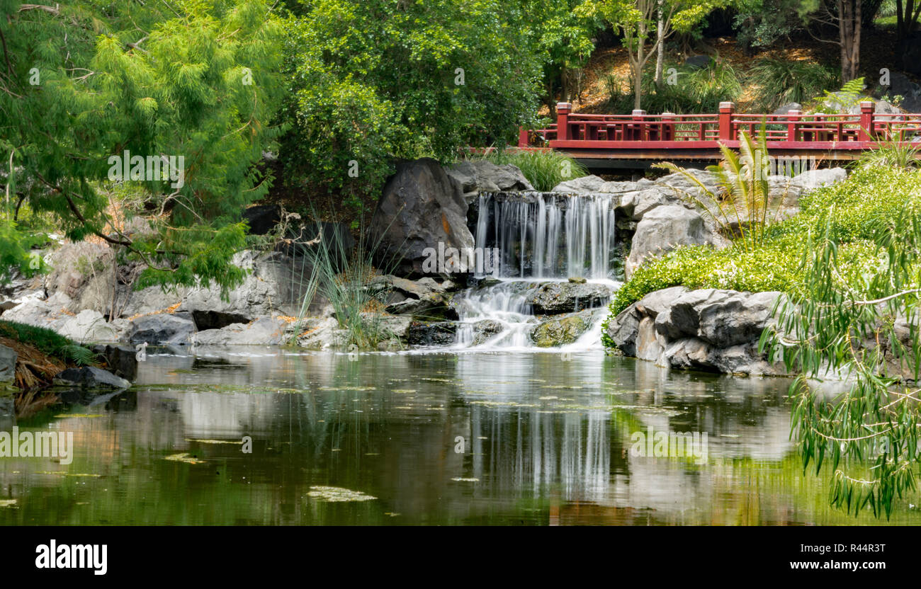 Die Japanischen Gärten (Nerima-Gärten) im Queens Park in Ipswich, Queensland. Friedliches traditionelles Design mit Wasserflächen Stockfoto