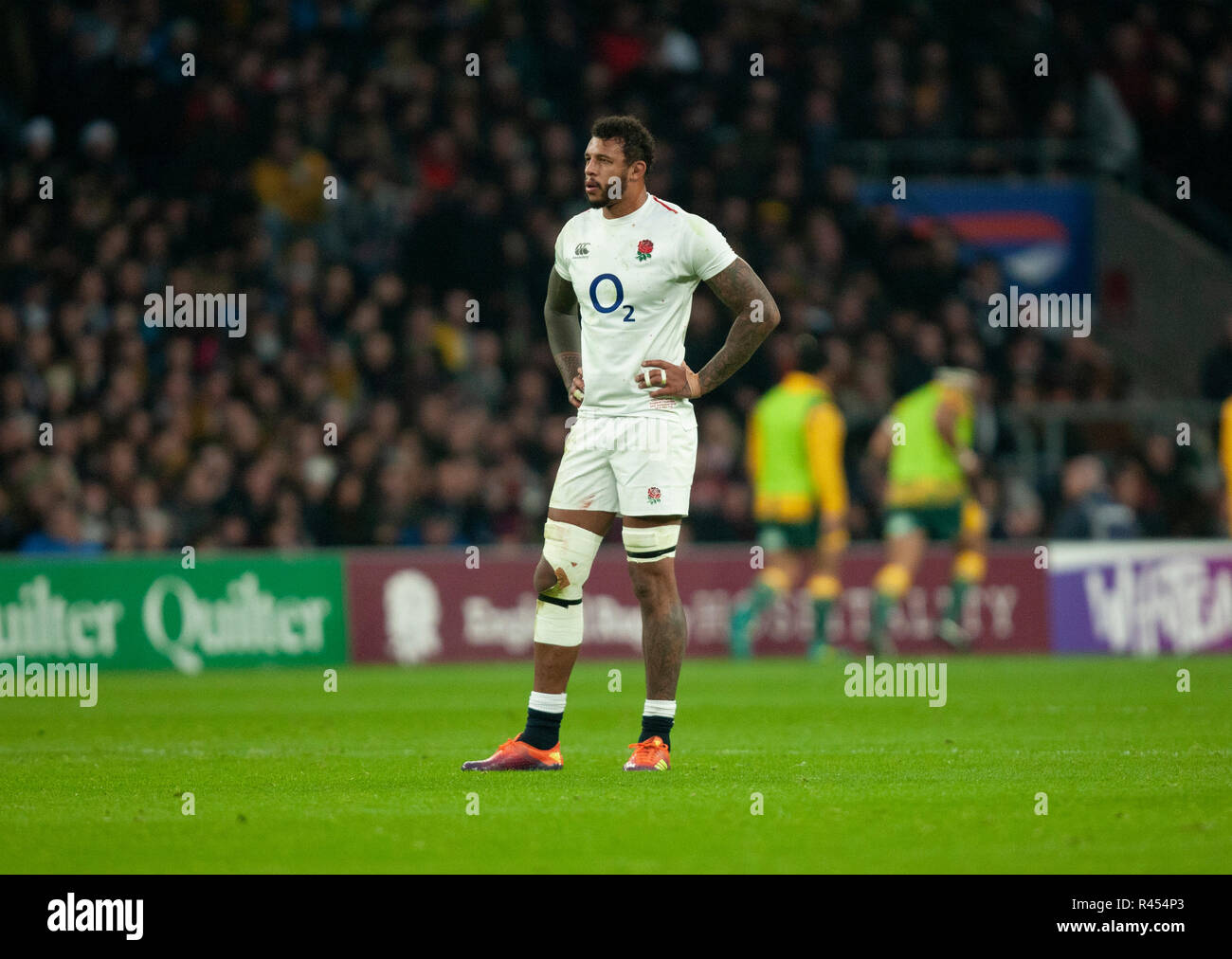 Twickenham, UK. 24. November 2018. England's Courtney Lawes während der Quilter Internationale Rugby-Spiel zwischen England und Australien. Andrew Taylor/Alamy leben Nachrichten Stockfoto