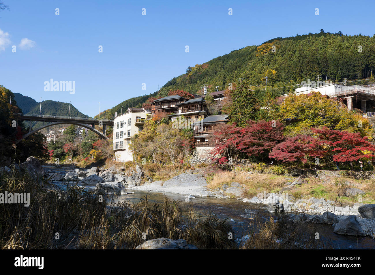 Tokio, Japan. 25 Nov, 2018. Die Blätter rot und gelb in Mitake Schlucht von Tokio, Japan, November 25, 2018. Credit: Du Xiaoyi/Xinhua/Alamy leben Nachrichten Stockfoto