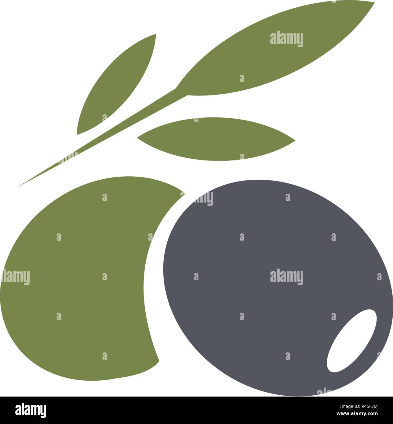 Oliven Emblem. Olivenöl logo-Element. Grüne Olive Branch, Blätter und Früchte. Natürliche Lebensmittel zu unterzeichnen. Stock Vektor