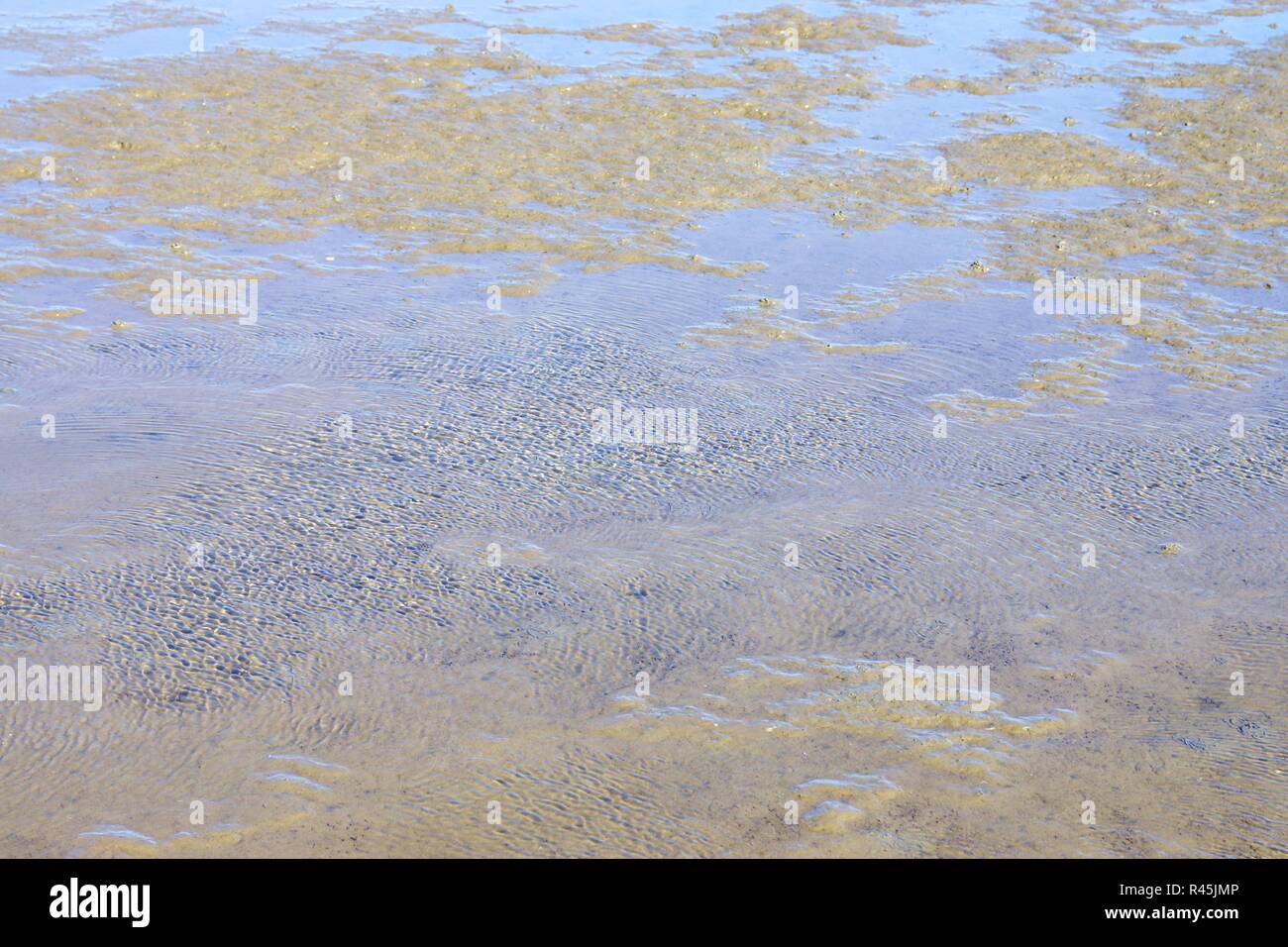 Flut an der Nordsee Stockfoto