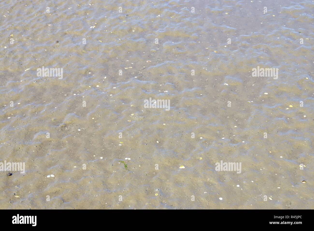 Flut an der Nordsee Stockfoto