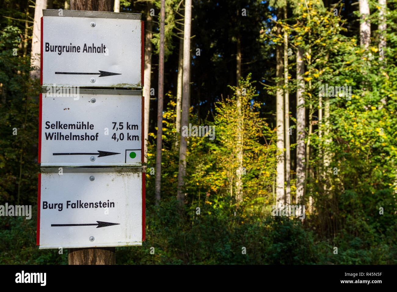 Wanderwegbeschilderung im Harz Stockfoto