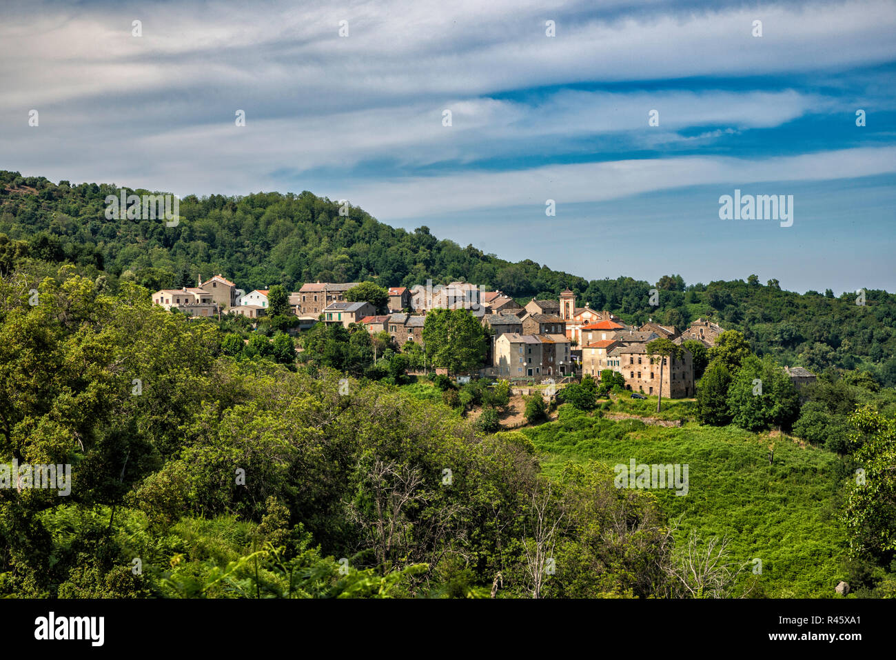 Stadt Talasani, Castagniccia, Highlands über Costa Verde, Haute-Corse, Korsika, Frankreich Stockfoto