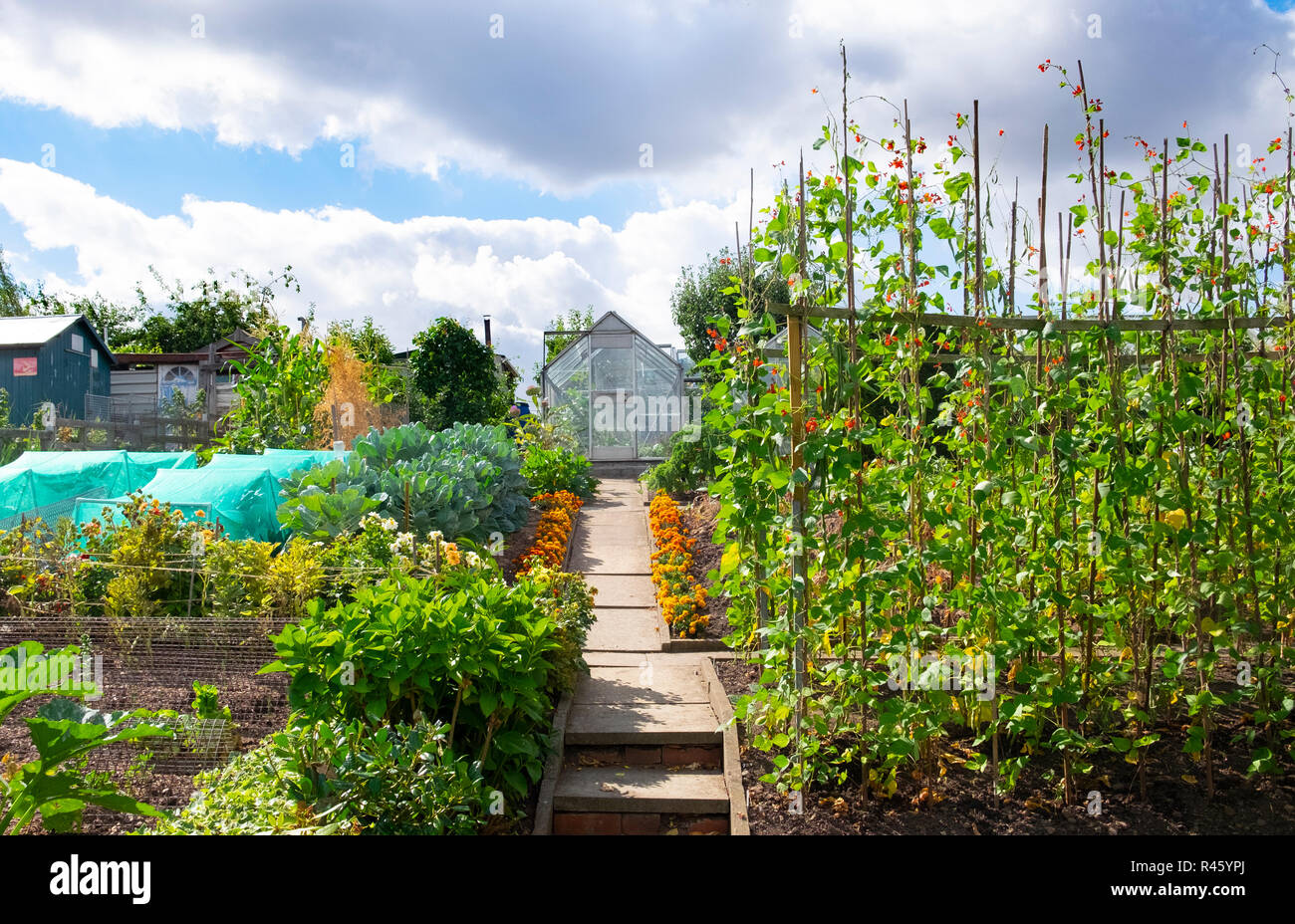 UK Zuteilung im Sommer zeigen Begleitererrichten mit Tagetes Stockfoto