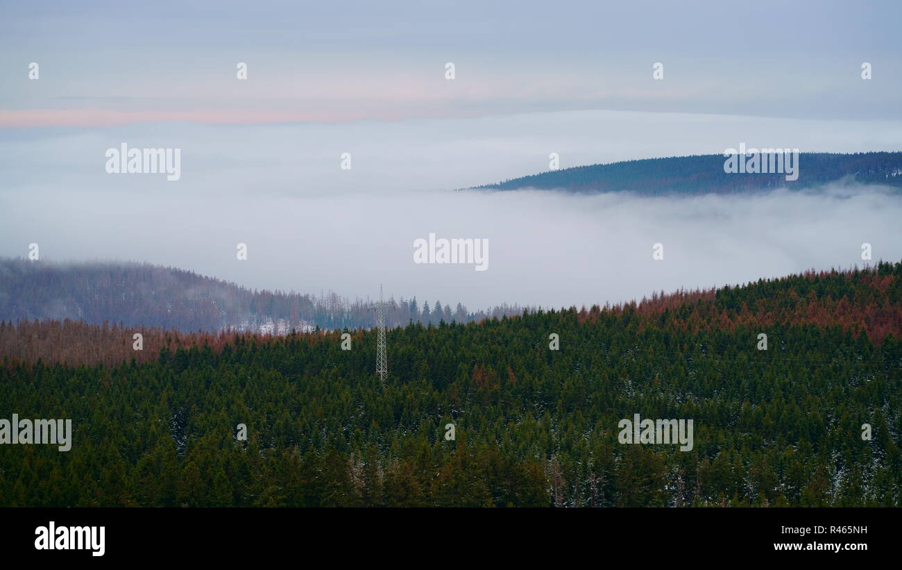 In den späten Herbst mit Nebel und pastellfarbenen Himmel im Harz, nördlichen Mitteldeutschland. Stockfoto