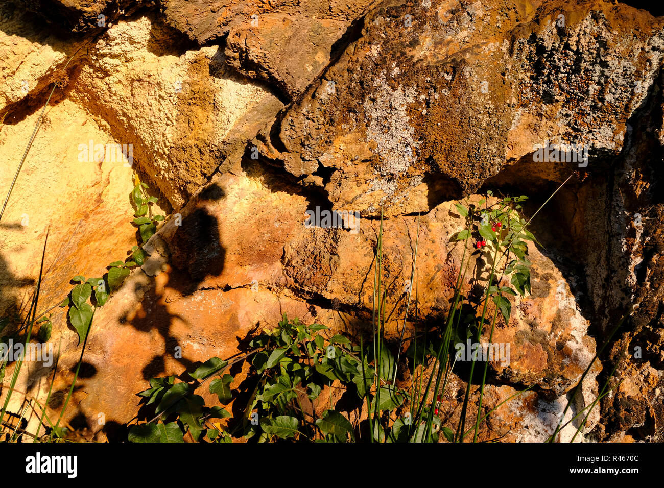 Natürliche Wand der braunen Felsen auf dem Sunset Licht. Stockfoto