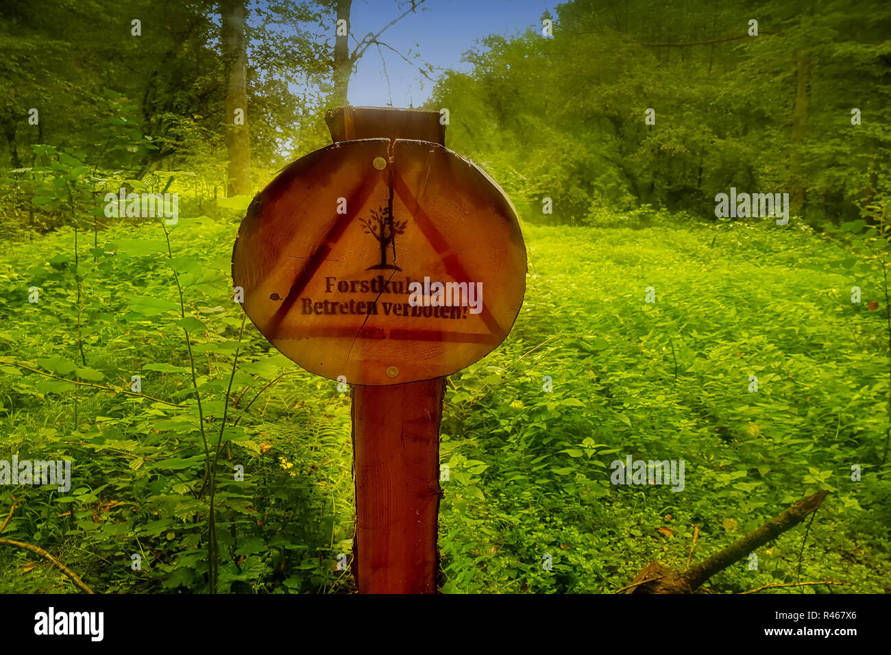 Rundes Schild aus Holz mit Aufschrift in English - Forstkultur Schild Verboten Sonnenstrahlen im Hintergrund. Lens Flare wünschenswert. Vorsätzliche blur Stockfoto