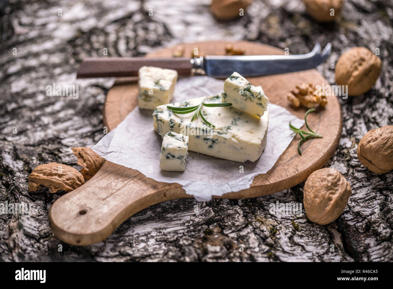 Gorgonzola-Käse Stockfoto