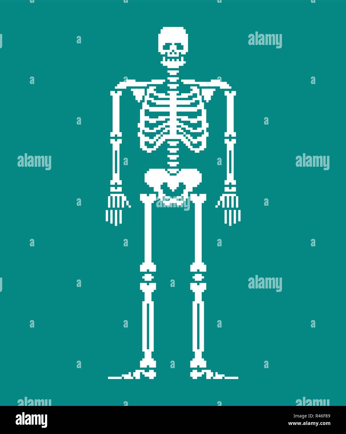 Skelett pixel Art Schädel und Knochen Anatomie 8 Bit. Pixelate Beckenknochen und Rippen. Wirbelsäule und Bandscheiben. Menschliche Knochen System 16 Bit. Alte spiel computer grap Stock Vektor