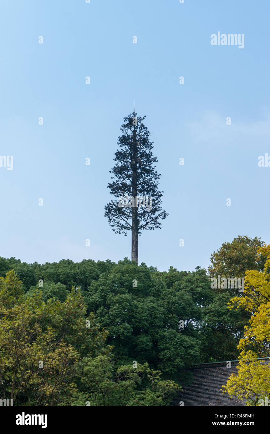 Fake Baum mit Mobilfunkantennen in China, Asien, im Sommer an einem sonnigen Tag Stockfotografie