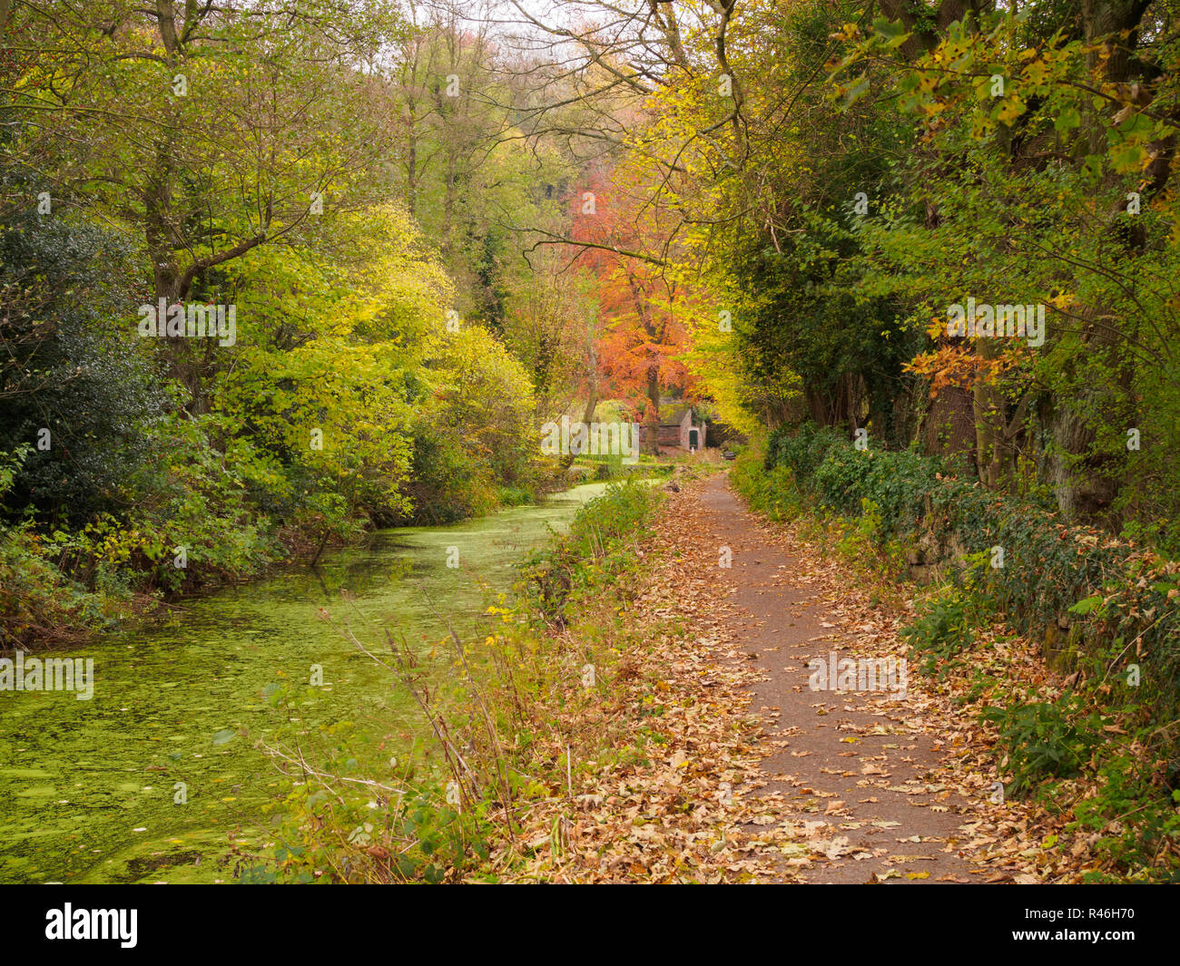 Die cromford Canal Stockfoto