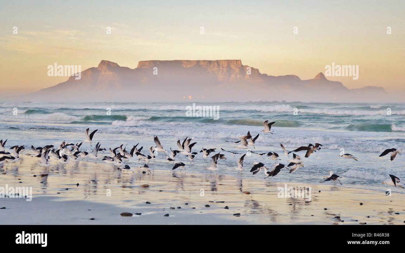 Romantischen Sonnenaufgang über dem Meer Stockfoto