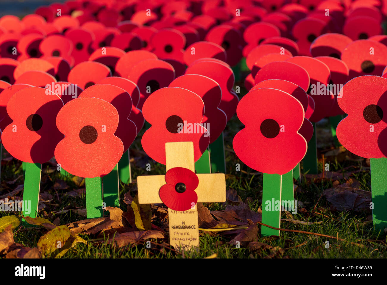 Masse der Erinnerung Mohnblumen Kennzeichnung 100. Jahrestag des Ersten Weltkriegs Waffenstillstand, Menentor, Ypern Stockfoto