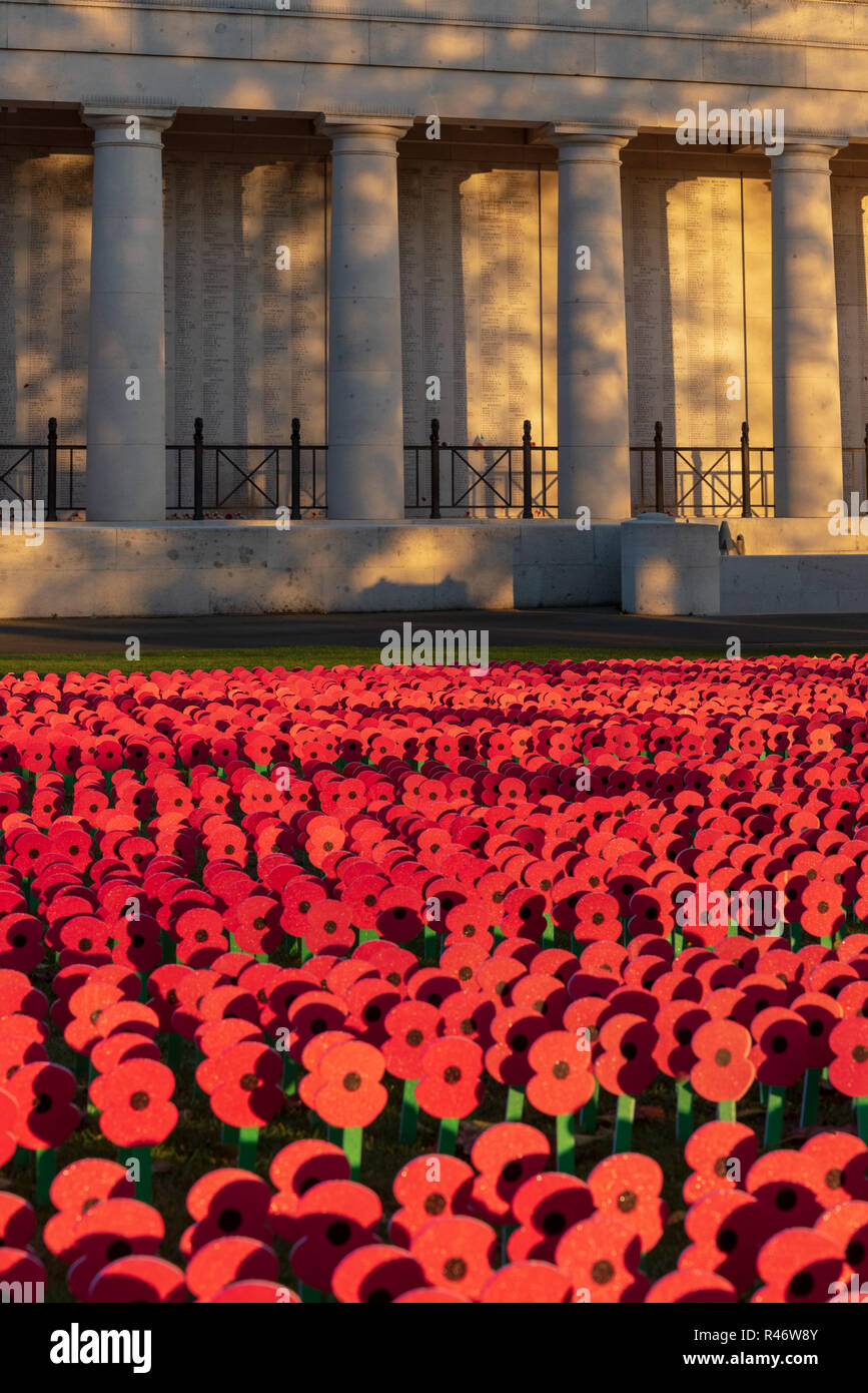 Masse der Erinnerung Mohnblumen Kennzeichnung 100. Jahrestag des Ersten Weltkriegs Waffenstillstand, Menentor, Ypern Stockfoto