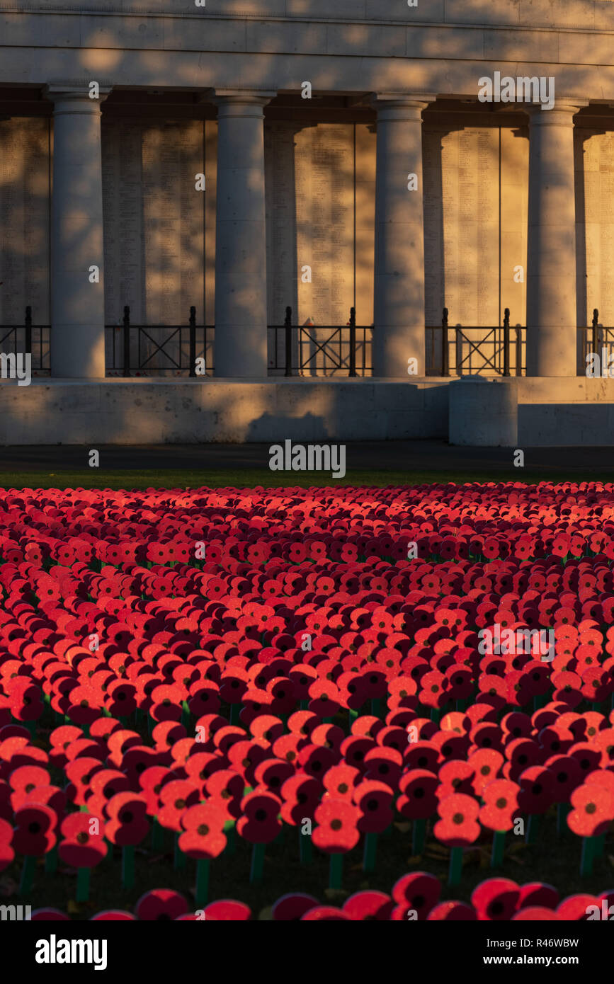 Masse der Erinnerung Mohnblumen Kennzeichnung 100. Jahrestag des Ersten Weltkriegs Waffenstillstand, Menentor, Ypern Stockfoto