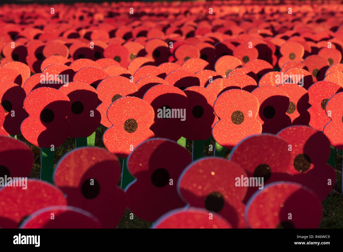 Masse der Erinnerung Mohnblumen Kennzeichnung 100. Jahrestag des Ersten Weltkriegs Waffenstillstand, Menentor, Ypern Stockfoto