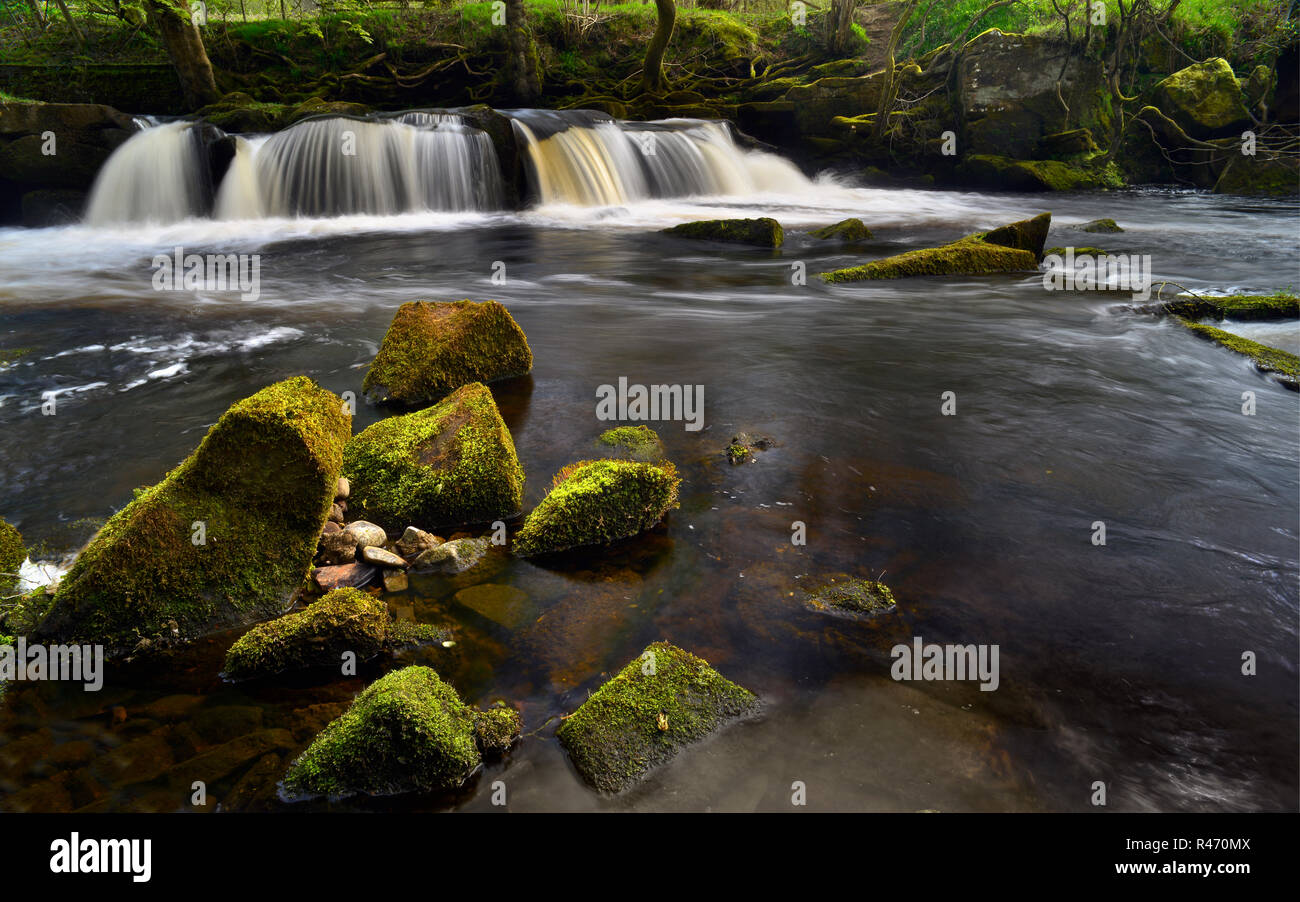 Der Wasserfall im Yorkshire Brücke über den Fluss Derwent (2) Stockfoto