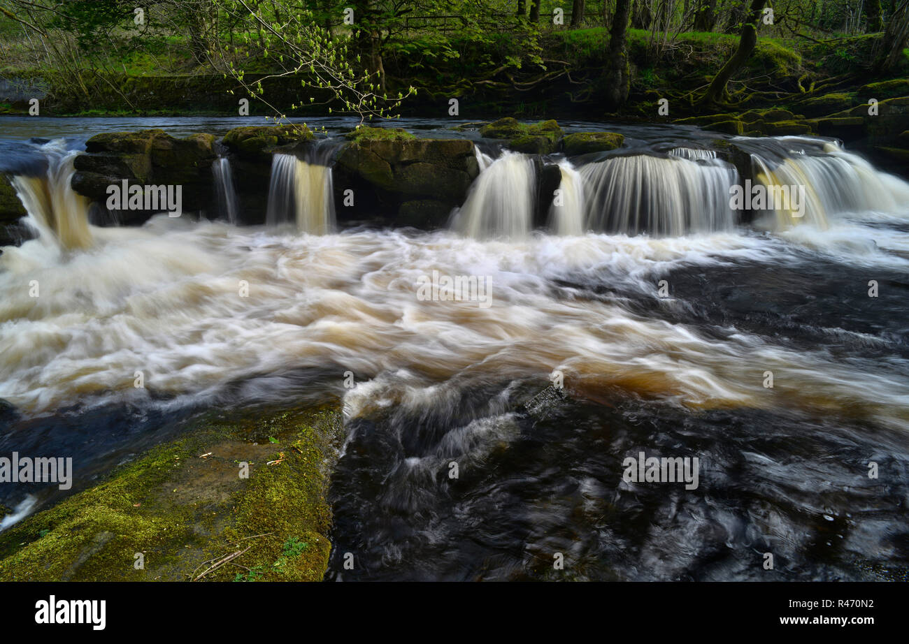 Der Wasserfall im Yorkshire Brücke über den Fluss Derwent (3) Stockfoto