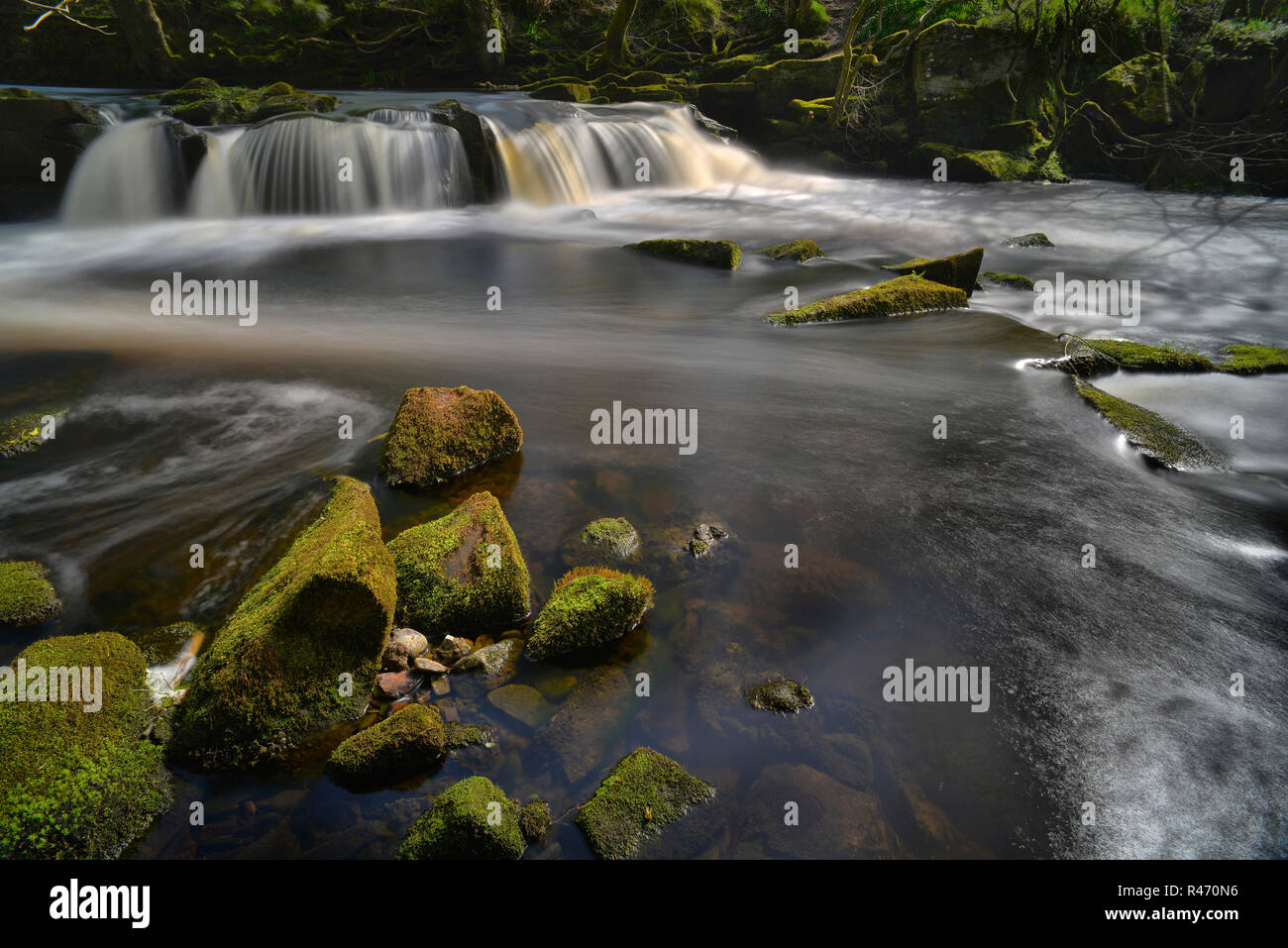 Der Wasserfall im Yorkshire Brücke über den Fluss Derwent (6) Stockfoto
