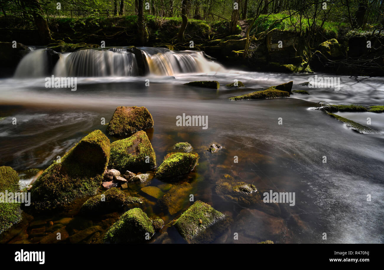 Der Wasserfall im Yorkshire Brücke über den Fluss Derwent (8) Stockfoto