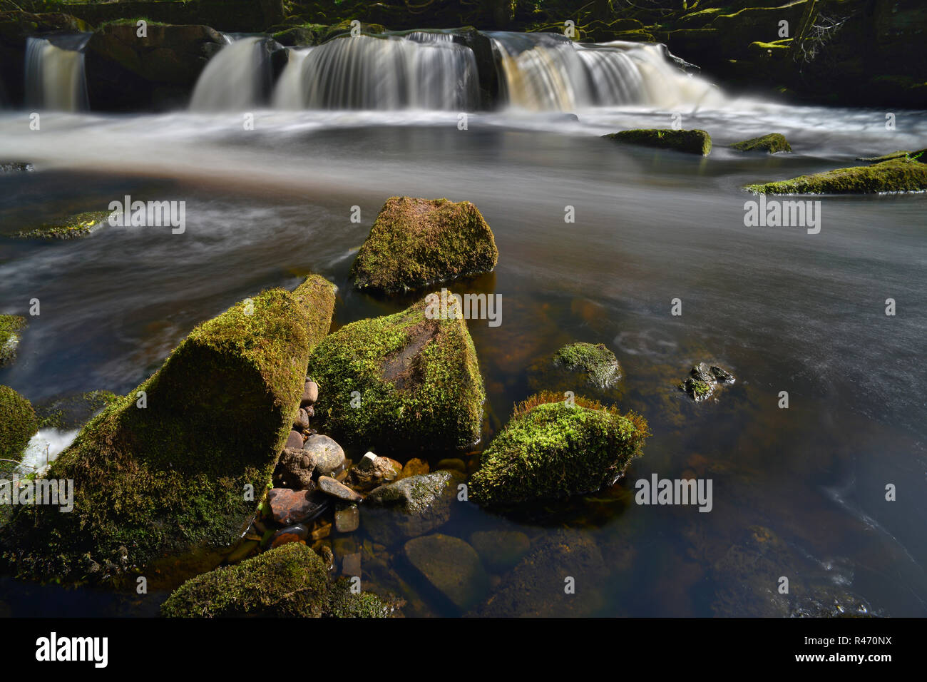 Der Wasserfall im Yorkshire Brücke über den Fluss Derwent (10) Stockfoto