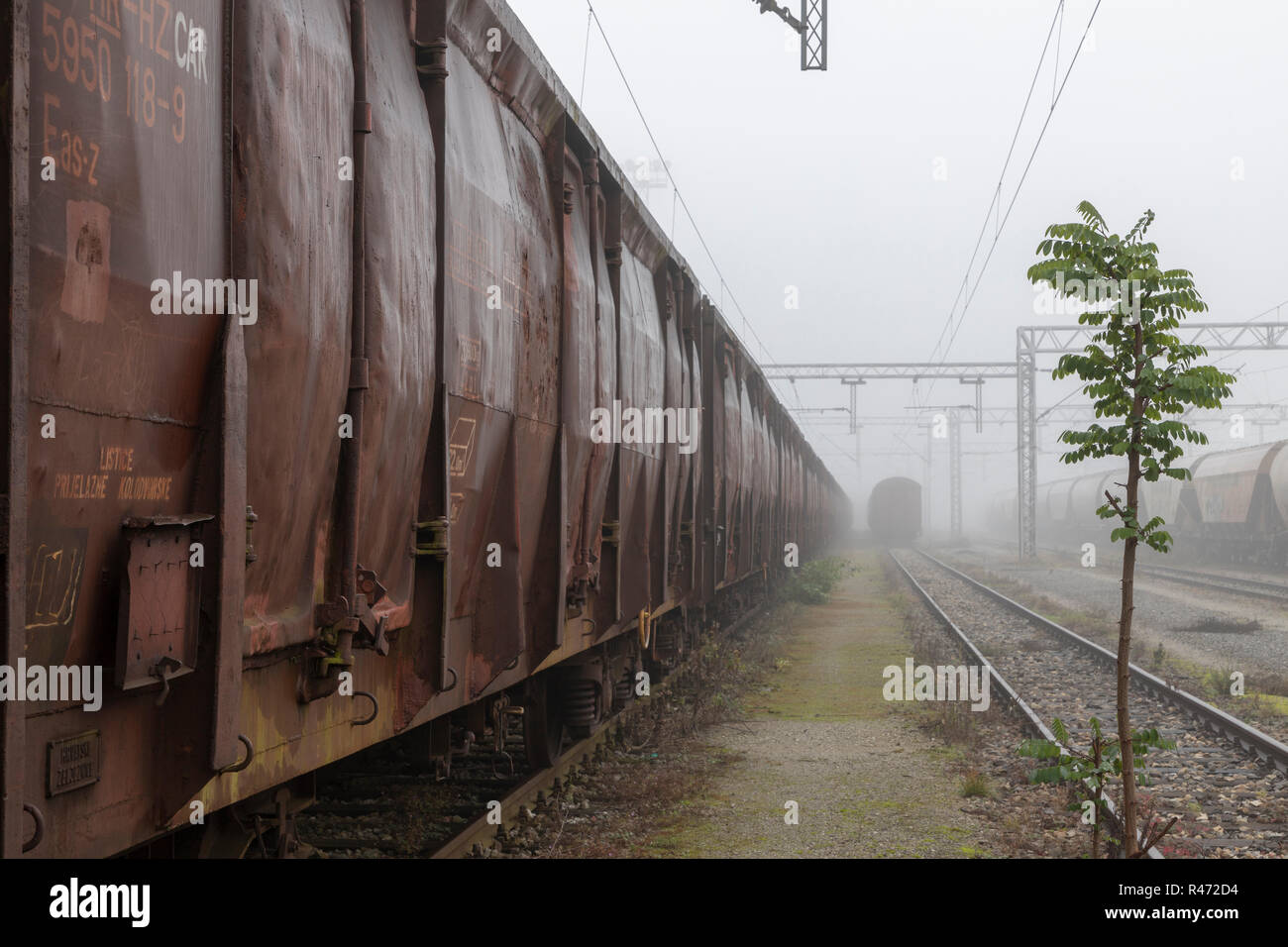 Alte Waggons im Morgennebel geparkt Stockfoto