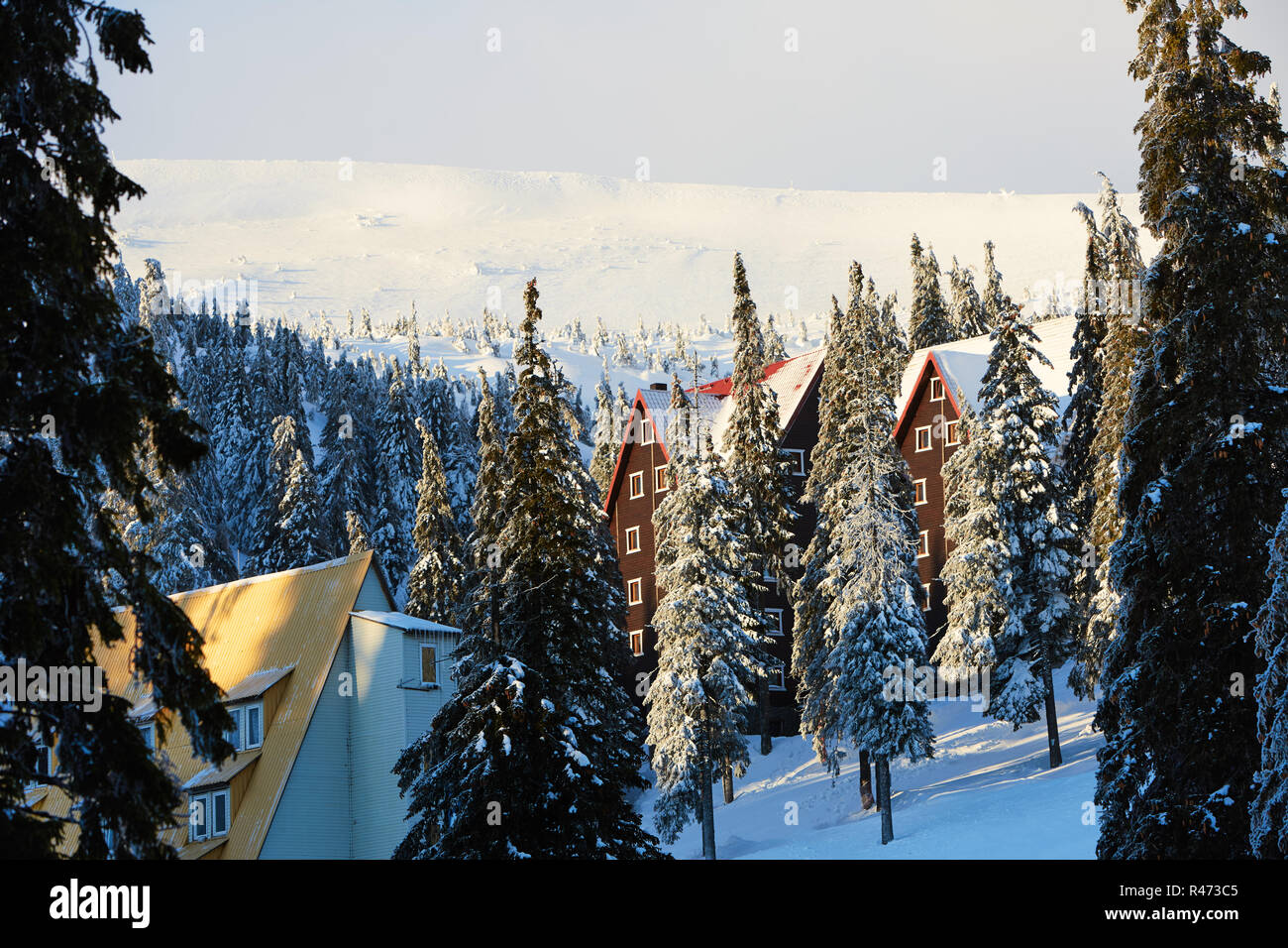 Mountain Ski Resort Winter Landschaft Foto. Hohe Tannen und Chalet Häuser mit Schnee bedeckt. Ferienhäuser und Ferienwohnungen bei Sonnenaufgang im Tal in der Nähe von Ski Lift. Hotel Gebäude in den Morgen. Stockfoto