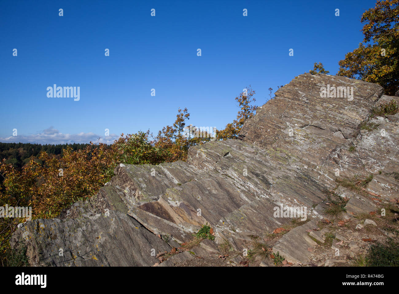 Blick Selketal im Herbst Stockfoto