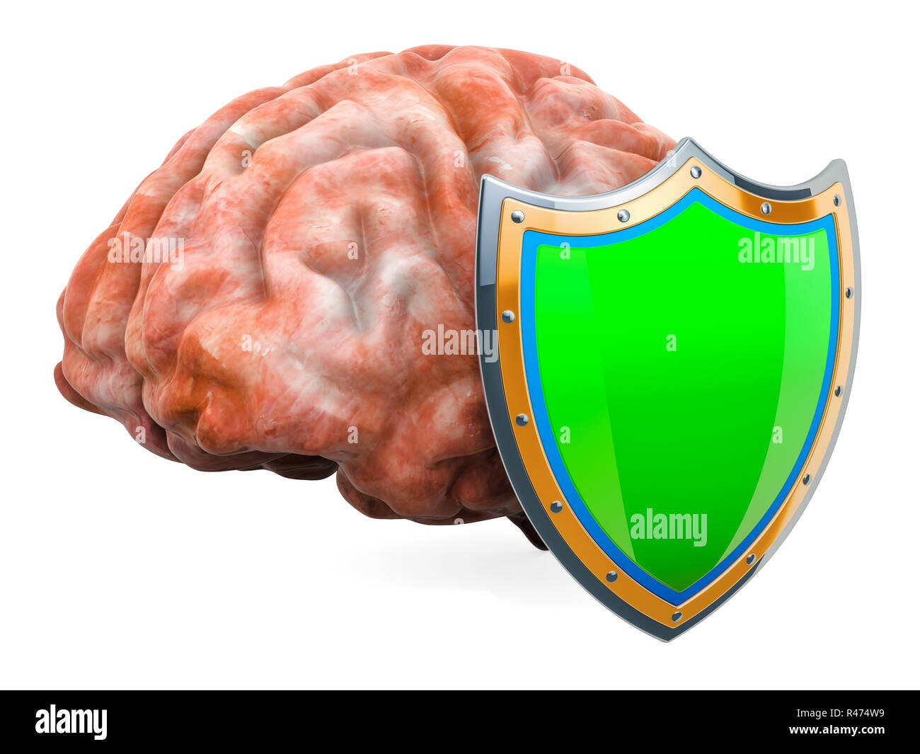 Menschliche Gehirn mit Schild, das Gehirn schützen. 3D-Rendering auf weißem Hintergrund Stockfoto