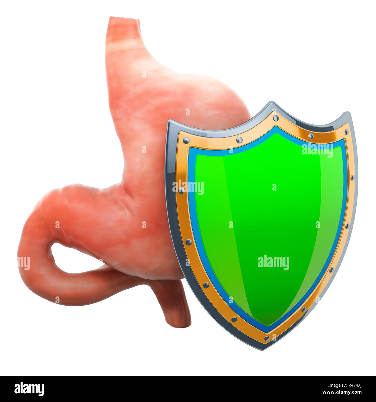 Menschlichen Magen mit Schirm, Magen zu schützen. 3D-Rendering auf weißem Hintergrund Stockfoto