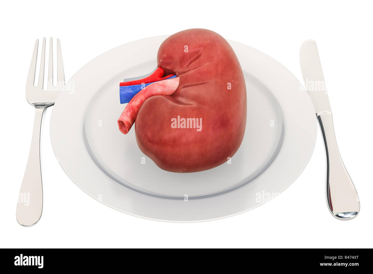 Niere Ernährung und Lebensmittel für chronische Nierenerkrankungen Konzept. 3D-Rendering auf weißem Hintergrund Stockfoto
