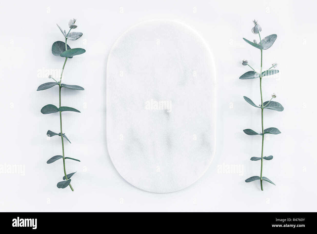 Marmor Platte mit Kopie Raum von Eukalyptus zweigen gerahmt, auf weißem Hintergrund. Stockfoto