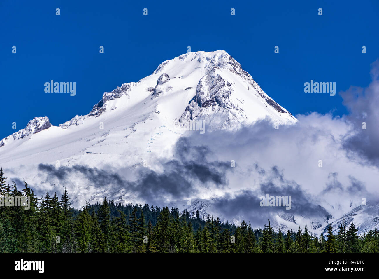 Mount Hood mit Schnee bedeckt mit Wolken von Frog Lake vor blauem Himmel im Frühsommer, Oregon, USA. Stockfoto