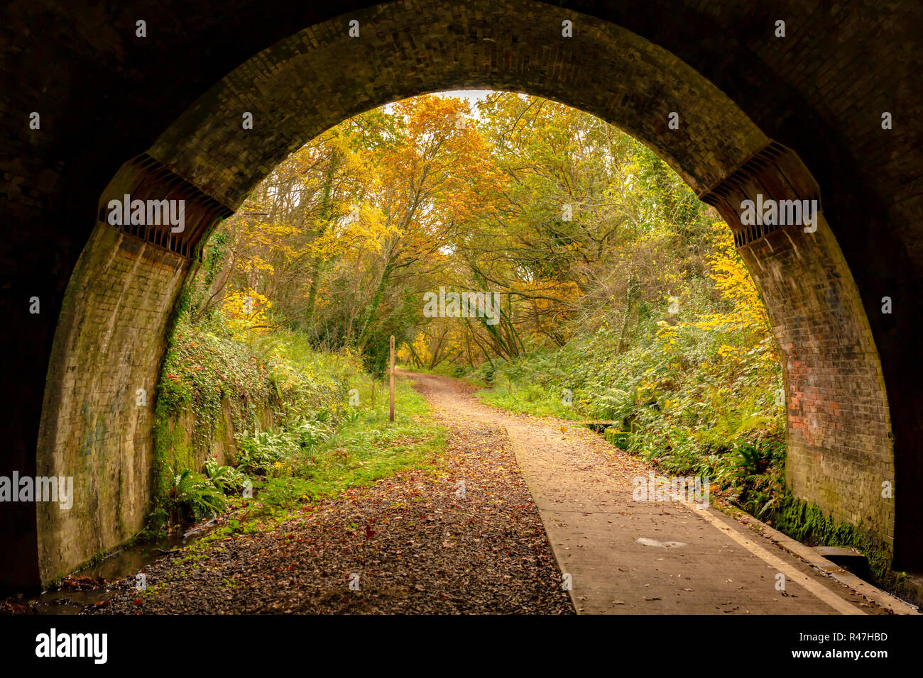 Farbfoto eines kleinen Teils der Castleman trailway innerhalb einer viktorianischen Eisenbahntunnel. Stockfoto