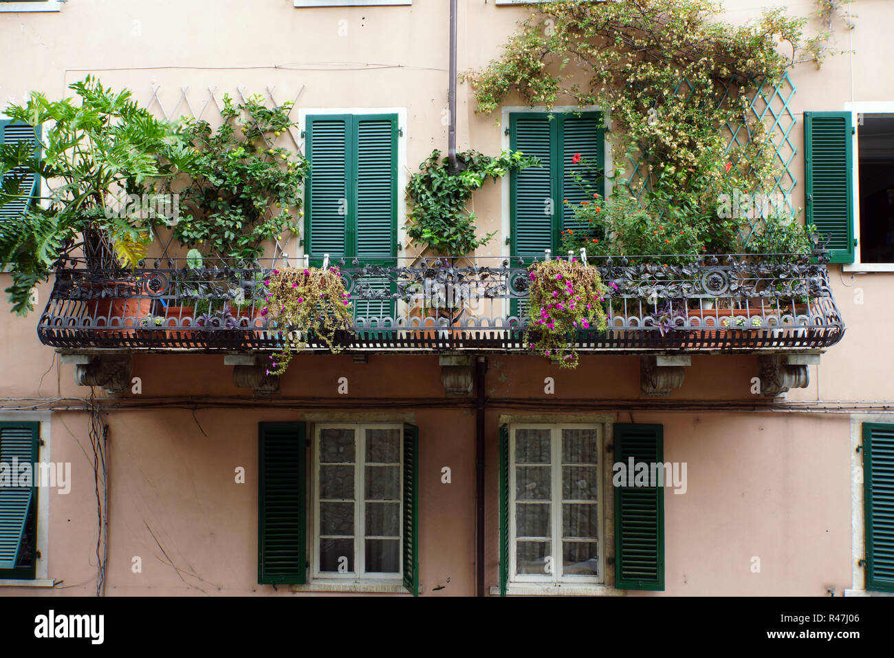 Begrünter Balkon in der Altstadt Stockfoto