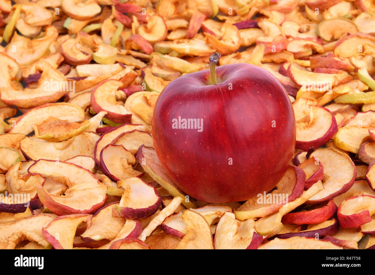 Eine reife rote Apple liegen auf einer großen Menge von getrockneten Äpfeln. Stockfoto