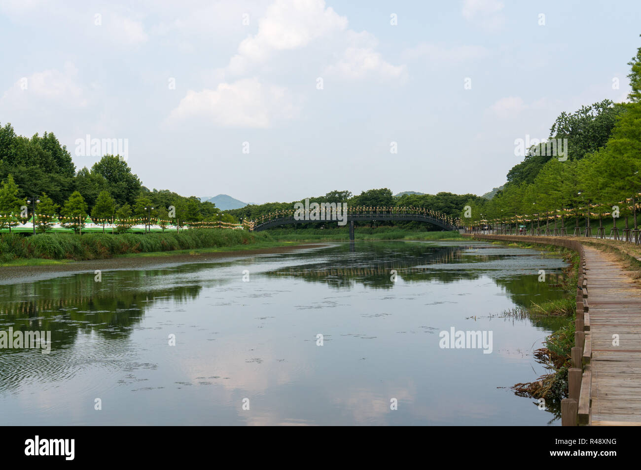 Reflexionen in einem Flussufer Stockfoto